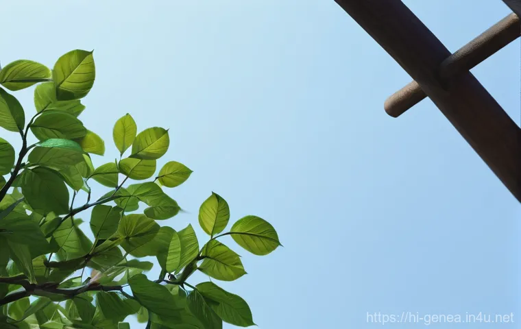 유명 인물의 족보 이미지 1 유명 인물의 족보 이미지 1